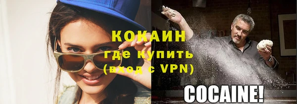 индика Абинск