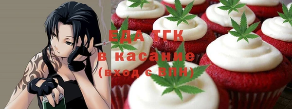 индика Абинск
