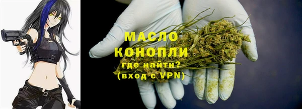 соль ск Абаза