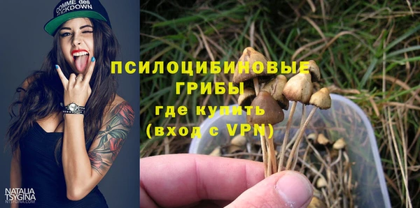 твердый Нязепетровск