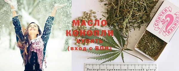 индика Абинск