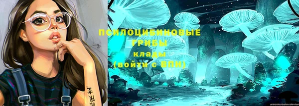 соль ск Абаза