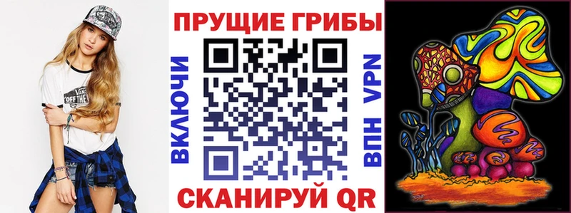 дарк нет наркотические препараты  Искитим  Галлюциногенные грибы Cubensis 