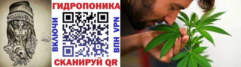Бошки марихуана план  наркота  Искитим 